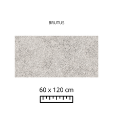 Cargar imagen en el visor de la galería, BRUTUS 60x120