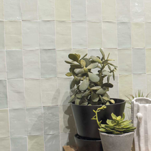 Cargar imagen en el visor de la galería, FEZ MINT 6.2x12.5