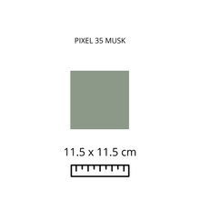 Cargar imagen en el visor de la galería, PIXEL 35 - MUSK