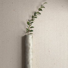 Cargar imagen en el visor de la galería, SHELL PLISSE6 12 60x120
