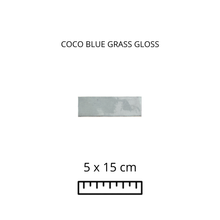 Cargar imagen en el visor de la galería, COCO BLUE GRASS GLOSS 5X15
