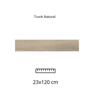 Trunk Natural 23x120